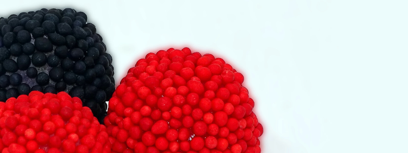 P-MORITAS